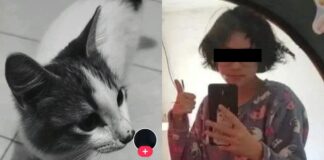 Reaparece perfil ligado a presuntos actos de maltrato animal en Puebla