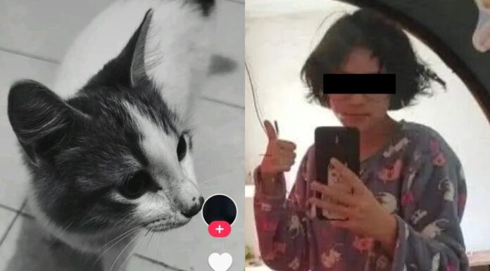 Reaparece perfil ligado a presuntos actos de maltrato animal en Puebla