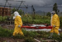 Elevan a 223 las “muertes sospechosas” por ébola en el Congo