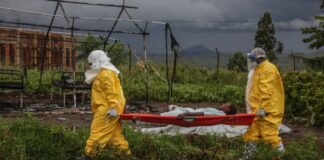 Elevan a 223 las “muertes sospechosas” por ébola en el Congo