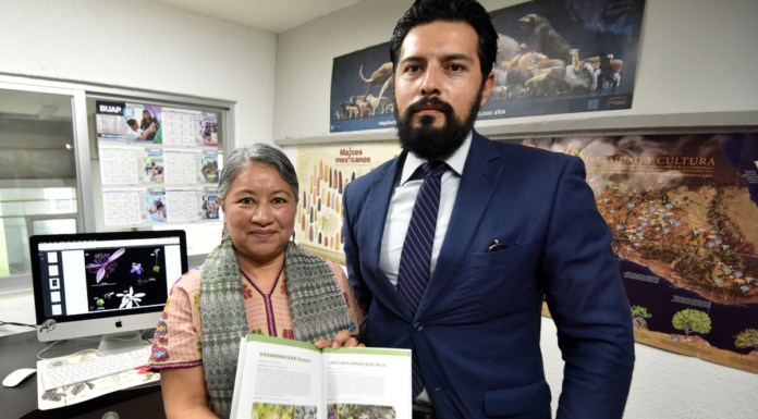Investigadores BUAP descubren nueva planta carnívora en Hidalgo