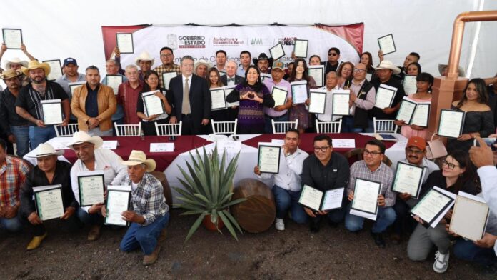 Productores de mezcal