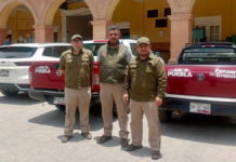 Refuerzan vigilancia por gusano barrenador del ganado en Puebla