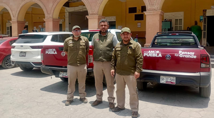 Refuerzan vigilancia por gusano barrenador del ganado en Puebla