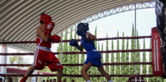 Torneo de Barrios de Box 2026 avanza con sexta y séptima función