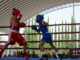 Torneo de Barrios de Box 2026 avanza con sexta y séptima función