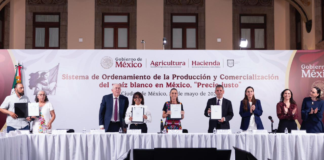 Sheinbaum firma acuerdo para fortalecer producción de maíz blanco
