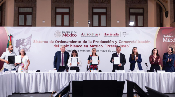 Sheinbaum firma acuerdo para fortalecer producción de maíz blanco