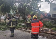 Atienden afectaciones por fuertes lluvias y vientos en Puebla capital