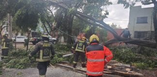 Atienden afectaciones por fuertes lluvias y vientos en Puebla capital