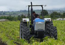 Beneficiarán a más de mil productores poblanos con condonación de deudas