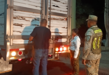 PROFEPA rescata 482 animales en operativo contra tráfico de vida silvestre