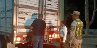 PROFEPA rescata 482 animales en operativo contra tráfico de vida silvestre