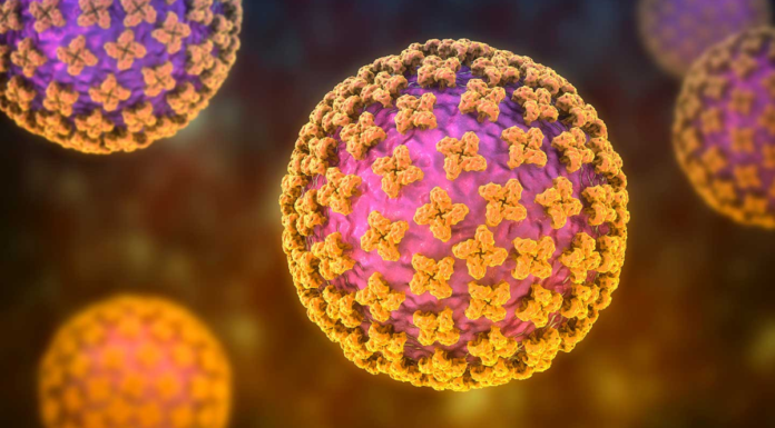 ¿Qué es y cómo se transmite la cepa Andes de hantavirus?