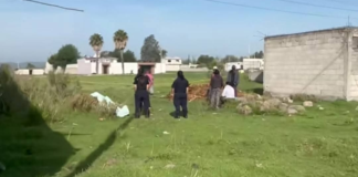 Encuentran muerto a un hombre en La Magdalena Tetela, Amozoc