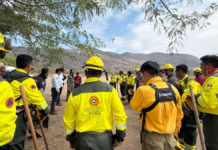 Operativo aéreo y terrestre combate incendio forestal en cerro Tecaballo