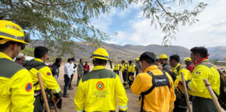 Operativo aéreo y terrestre combate incendio forestal en cerro Tecaballo