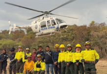 Logran controlar y liquidar incendio forestal en Cerro Tecaballo