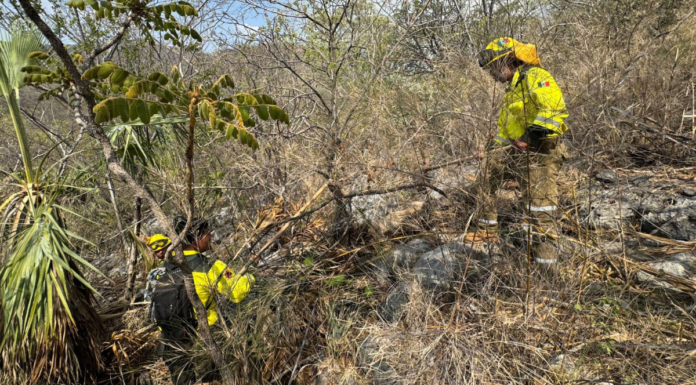 Combaten reactivación de incendio forestal en Santa María Cohetzala
