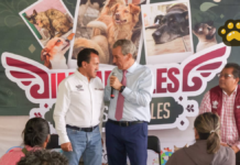 Realizan jornada de bienestar animal en San Pablo Xochimehuacan