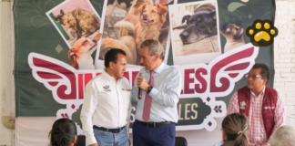 Realizan jornada de bienestar animal en San Pablo Xochimehuacan