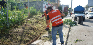 Pepe Chedraui supervisa limpieza de barranca en Guadalupe Caleras