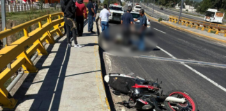 Muere motociclista atropellado en el Periférico Ecológico