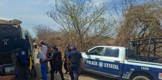 Puebla y Guerrero realizan operativos permanentes en zonas limítrofes