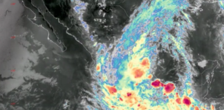 Depresión tropical Dos-E evoluciona a tormenta tropical “Boris”