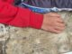 Víctima de bullying en Atlixco termina hospitalizado