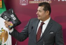 Crece 60% la producción de café en Puebla
