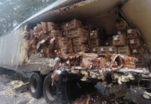 Choque entre autobús y tráiler deja cinco lesionados en la México–Tuxpan
