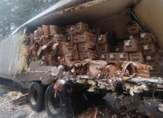 Choque entre autobús y tráiler deja cinco lesionados en la México–Tuxpan