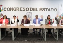 Exhortan permitir a concesionarios del transporte público portar documentos digitales