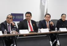 Comisión del Congreso exhorta a la CFE a agilizar sus trámites