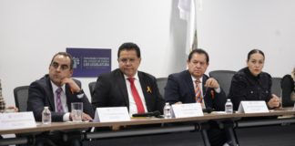 Comisión del Congreso exhorta a la CFE a agilizar sus trámites