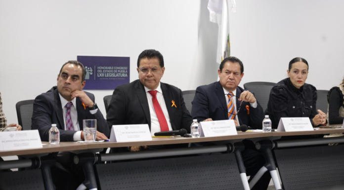 Comisión del Congreso exhorta a la CFE a agilizar sus trámites