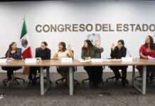 Comisión aprueba dictamen para fortalecer órdenes de protección a mujeres en Puebla