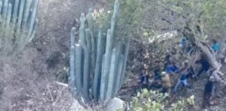 Camioneta cae a barranco de 50 metros en la Coxcatlán-Zoquitlán