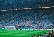 Analizan intensa movilización emocional por futbol de selecciones