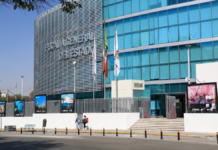 FGE Puebla investiga ataque a perros desde un vehículo