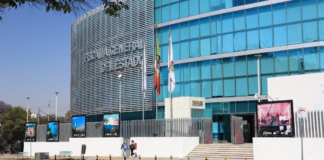 FGE Puebla investiga ataque a perros desde un vehículo