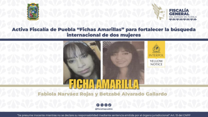 Fichas-Amarillas