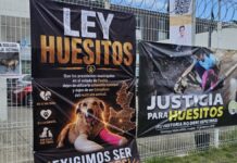 Sentencian a 11 años de prisión a agresor de “Huesitos” en Santiago Miahuatlán