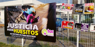 Piden pena máxima para acusado de agredir al perrito “Huesitos”
