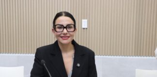 Proponen en Congreso la regulación de estacionamientos