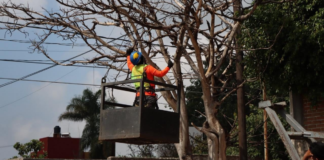 Atlixco arranca Plan Castor 2026 para atención de arbolado