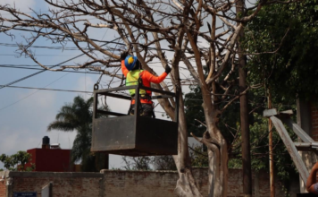 Atlixco arranca Plan Castor 2026 para atención de arbolado