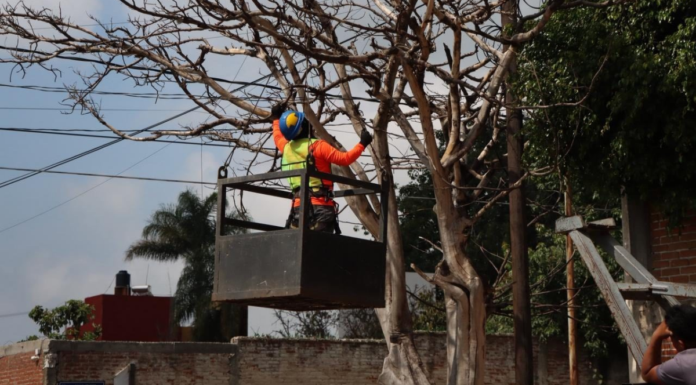 Atlixco arranca Plan Castor 2026 para atención de arbolado