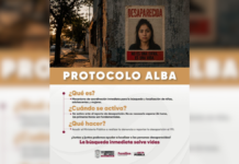 SEDIF refuerza búsqueda de mujeres con Protocolo Alba